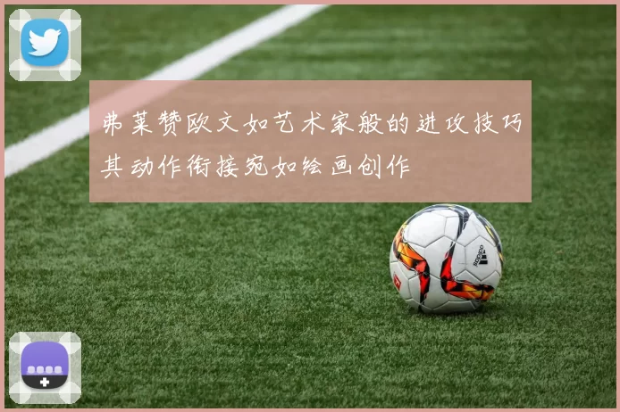 弗莱赞欧文如艺术家般的进攻技巧其动作衔接宛如绘画创作